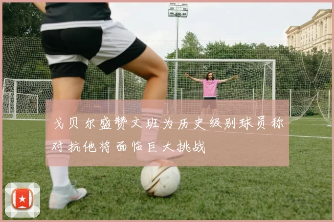戈贝尔盛赞文班为历史级别球员称对抗他将面临巨大挑战