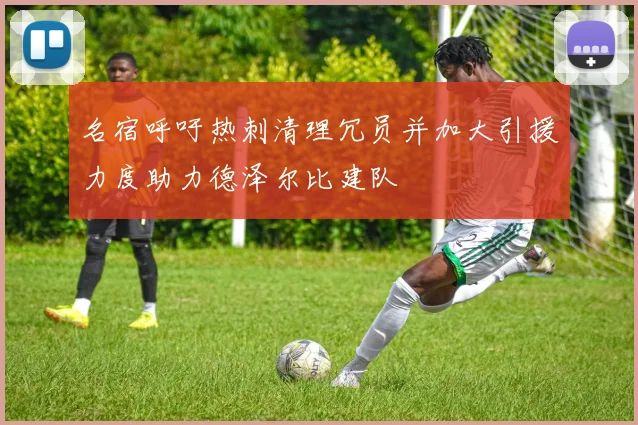 名宿呼吁热刺清理冗员并加大引援力度助力德泽尔比建队